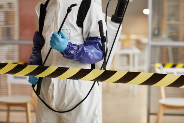 Professional Blood Cleanup technician working in Mt Baldy, CA